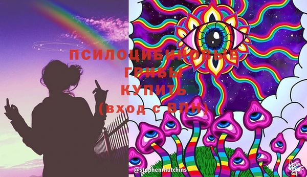 гашик Волосово